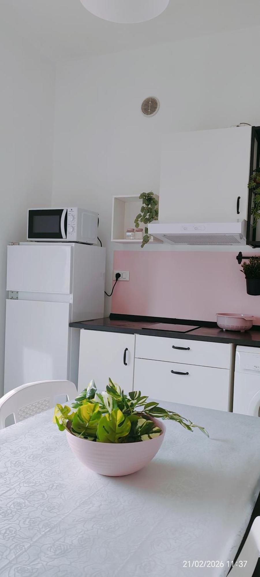 Rosa Over The Rainbow *